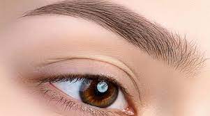 Conociendo los detalles del microblading